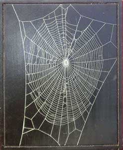 Order Your Unique Spider Web Plaques from Knight's Spider Web Farm