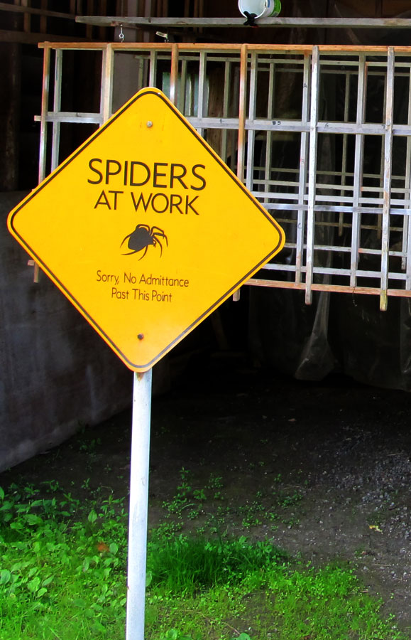 Caution; Spiders Working